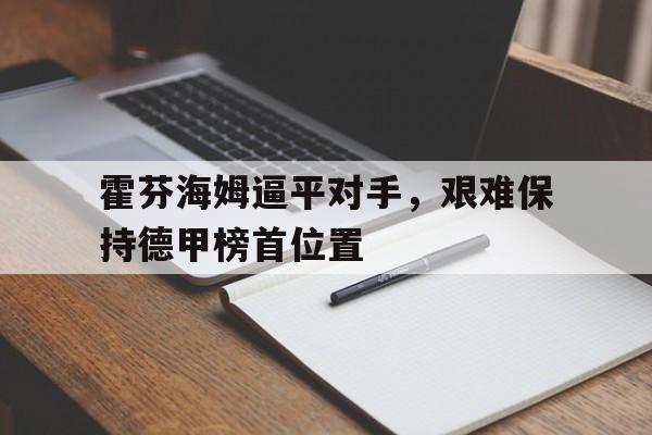 霍芬海姆逼平对手，艰难保持德甲榜首位置的简单介绍